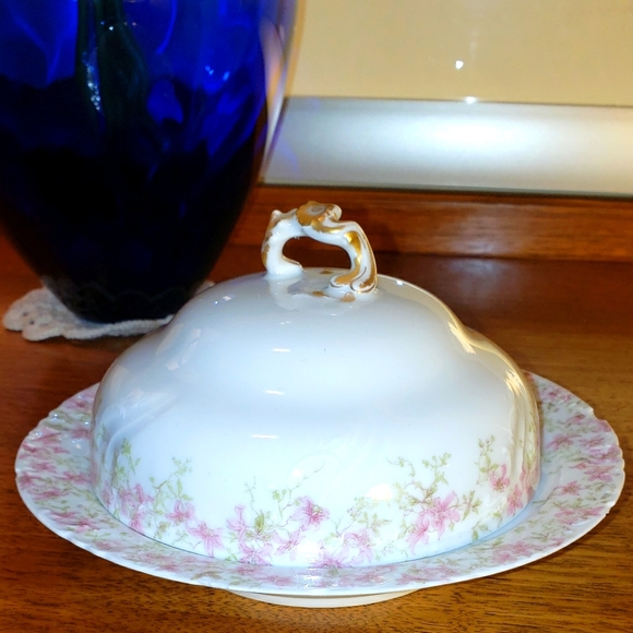 Haviland Limoges Other - 1868-1898 Limoges Butter Dish.